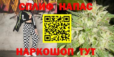 прущие крисы Краснознаменск