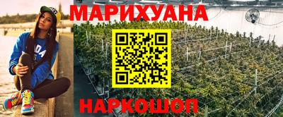 прущие крисы Краснознаменск