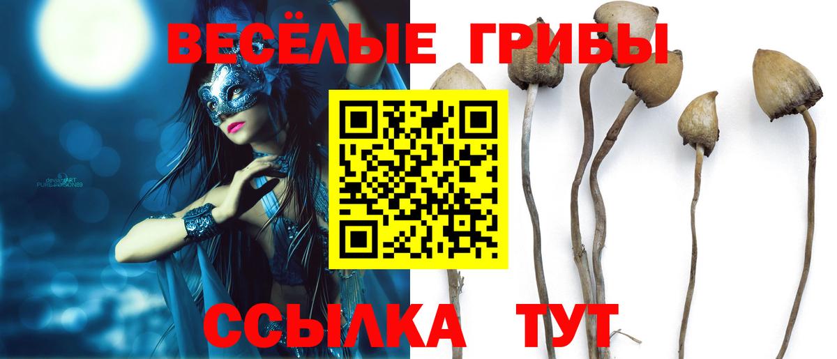 Кемерово  Псилоцибиновые грибы ЛСД  Вход с VPN  Галлюциногенные грибы MAGIC MUSHROOMS 